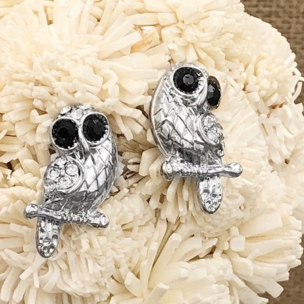 🌼 Black Eye Owl Post Stud Earrings